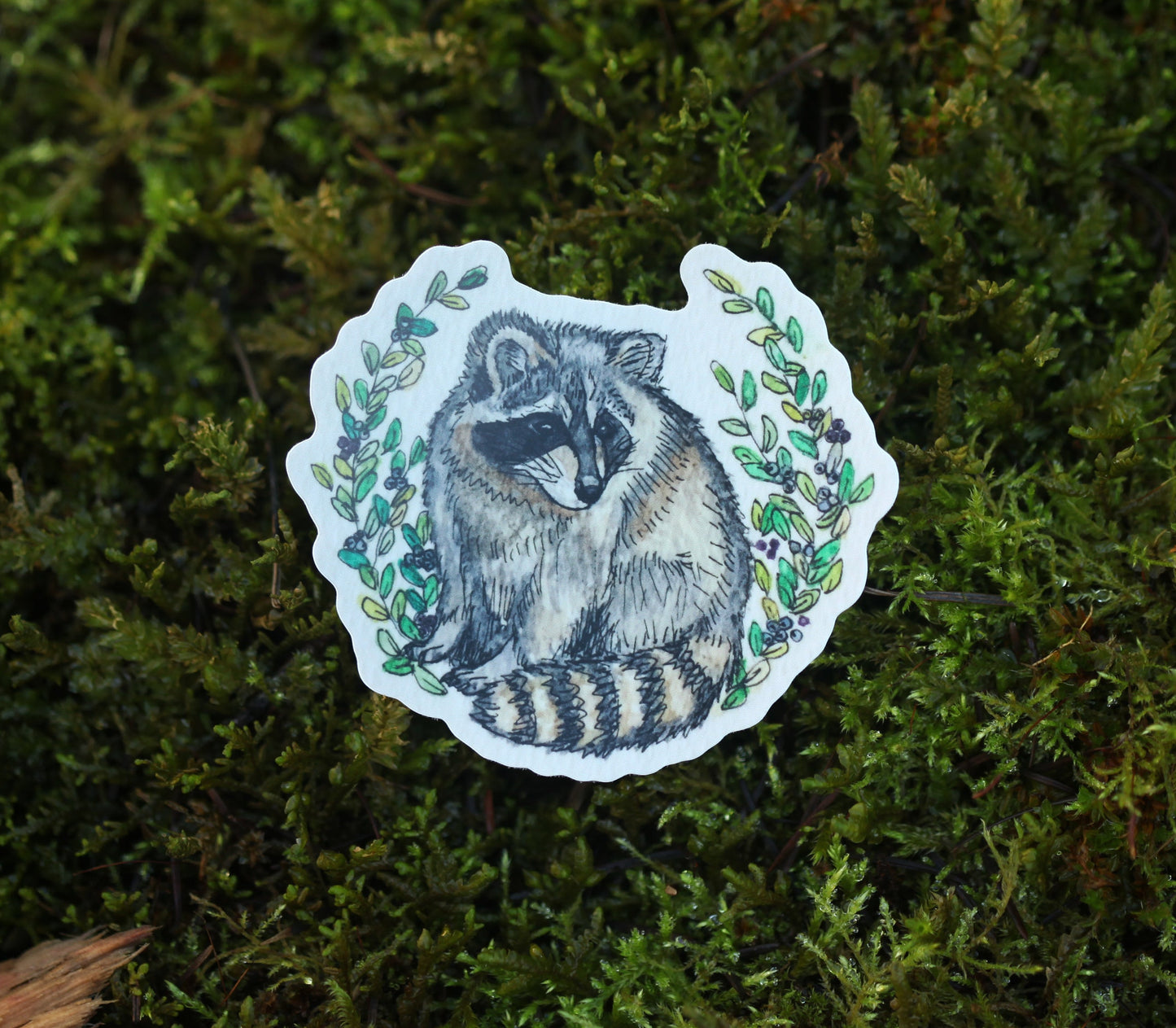 Raccoon Sticker