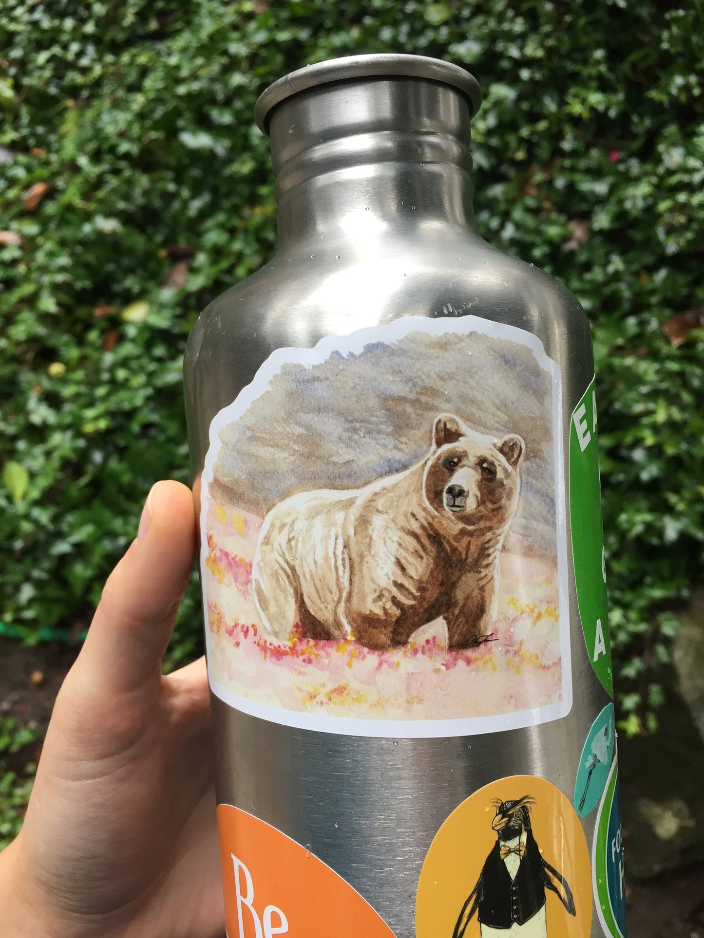 Grizzly Bear Sticker