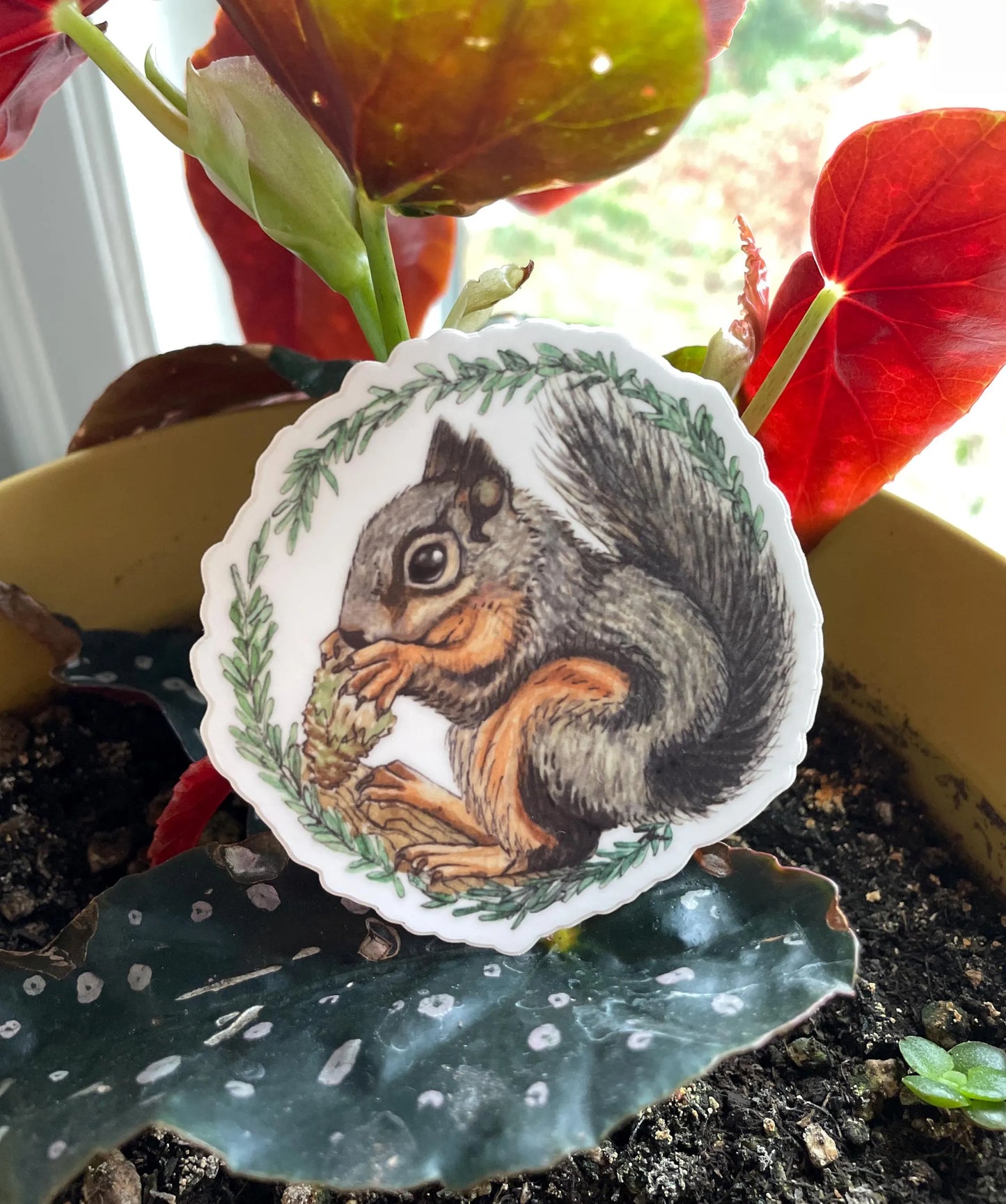 Douglas Squirrel Sticker