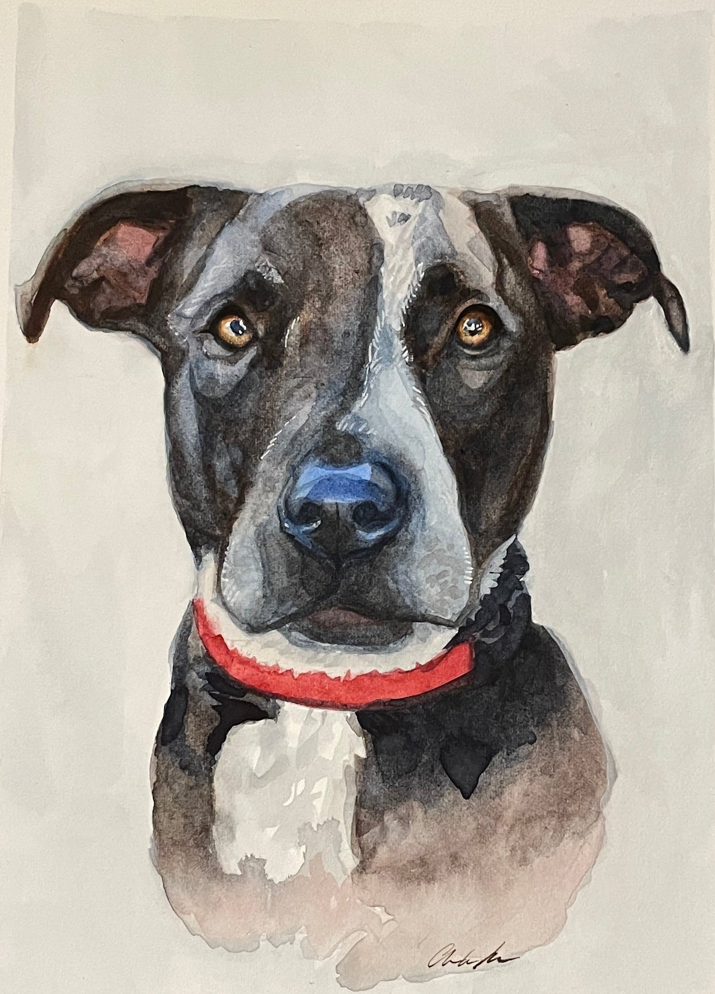 watercolor portrait of a pitbull
