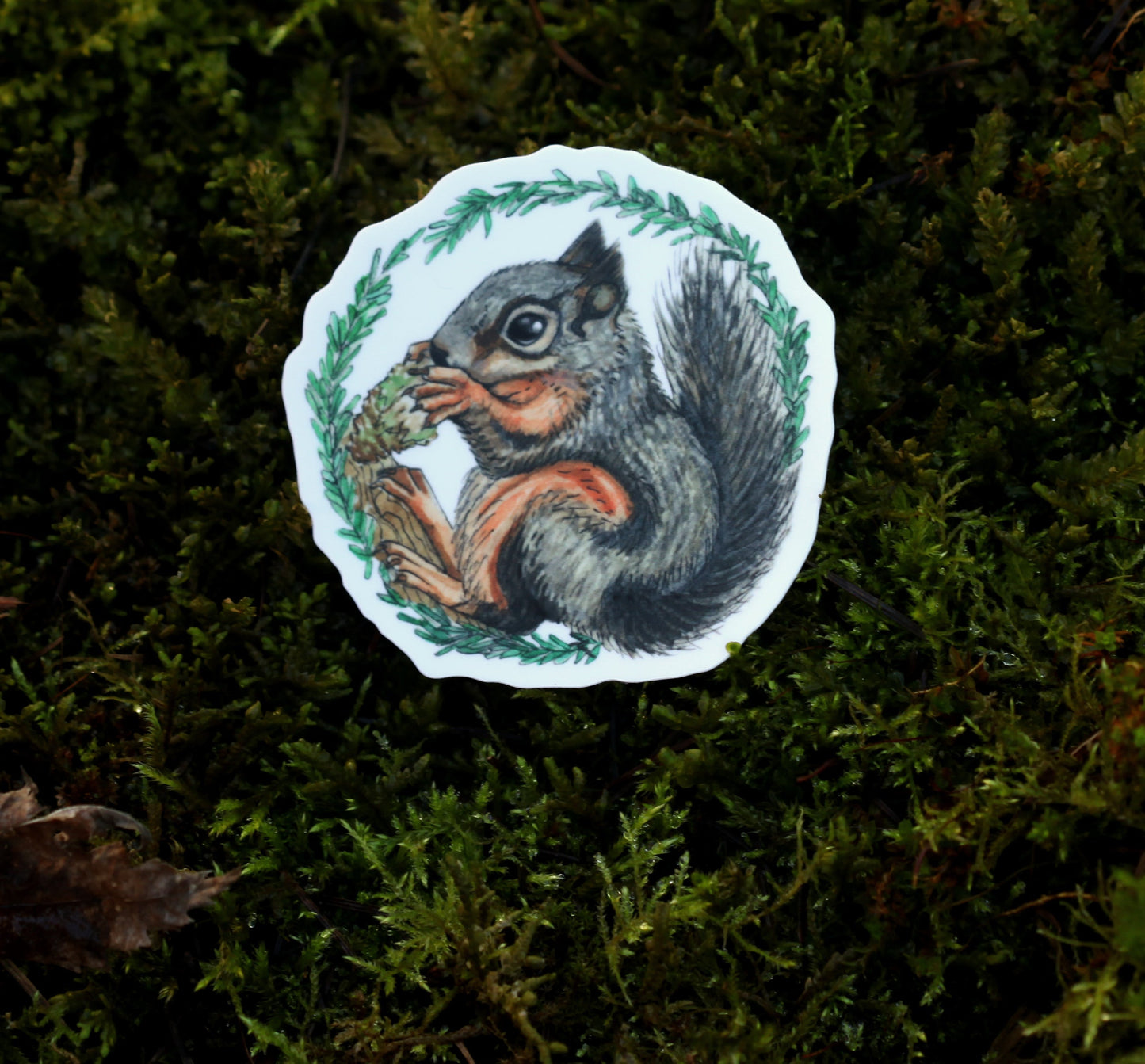 Douglas Squirrel Sticker