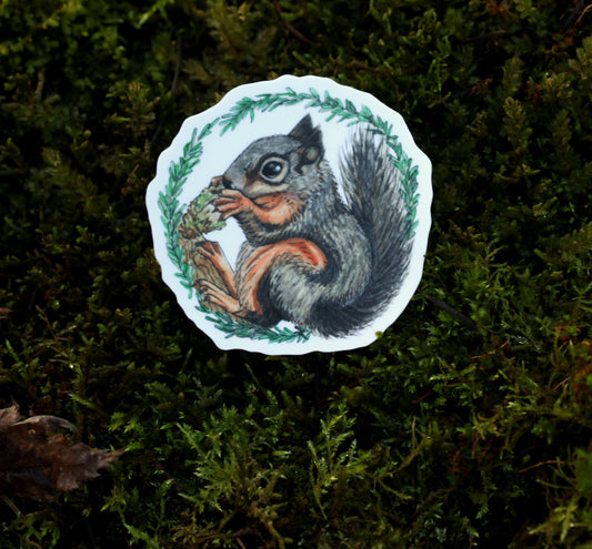Douglas Squirrel Sticker