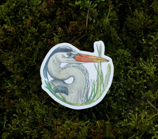 Great Blue Heron Sticker