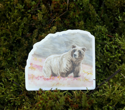 Grizzly Bear Sticker