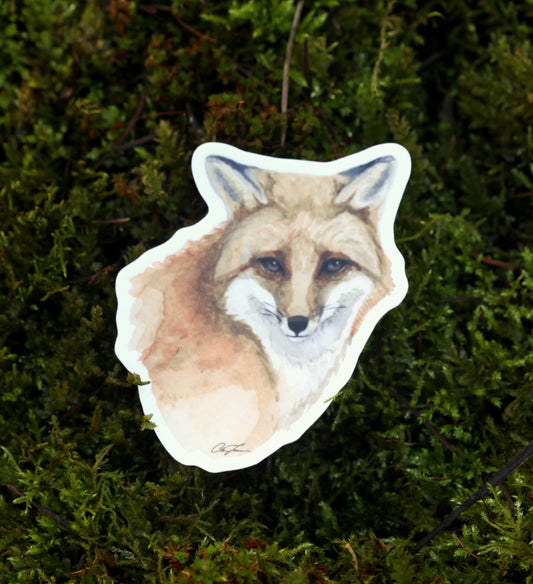 Red Fox Sticker
