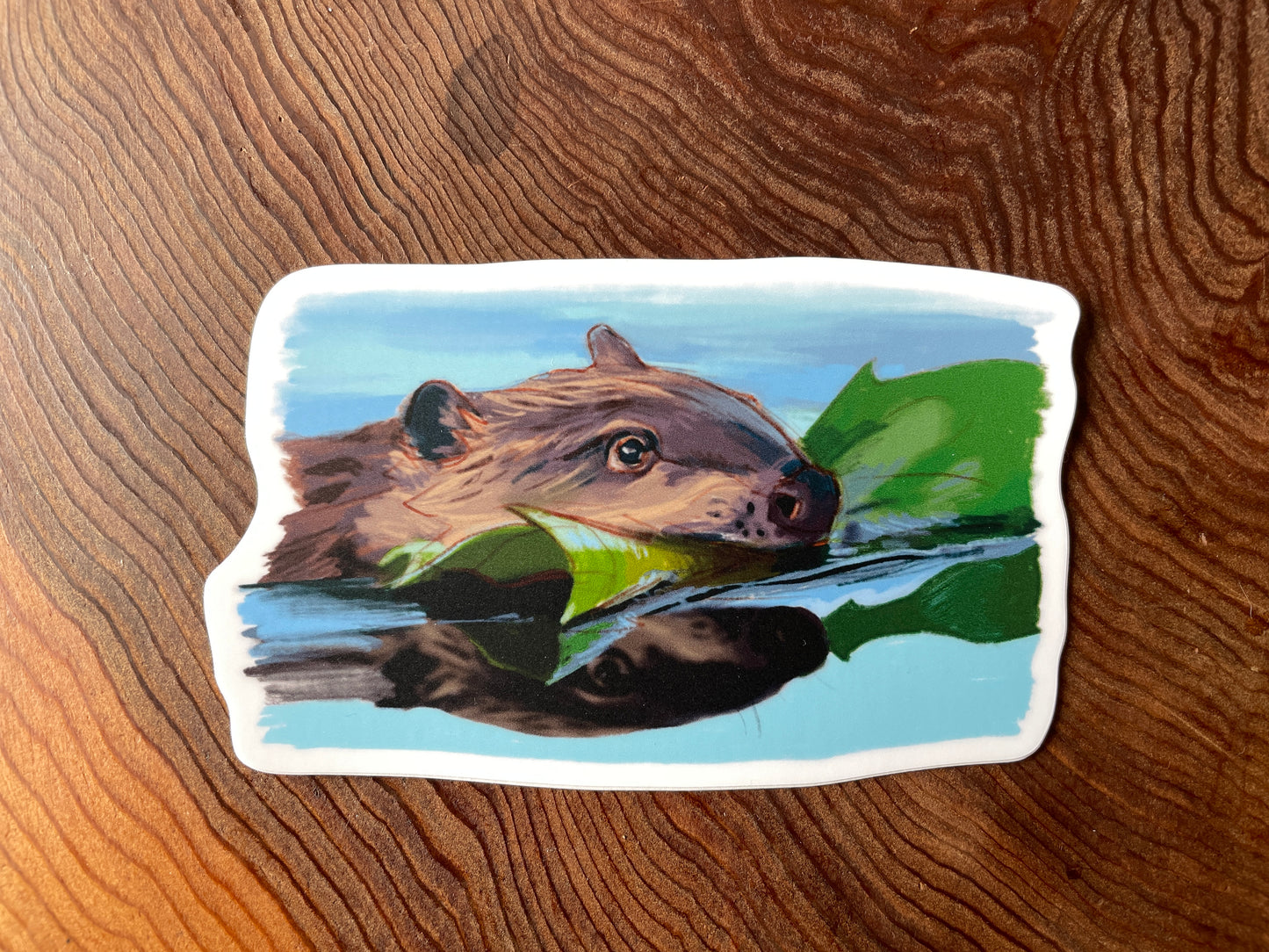 Beaver Sticker