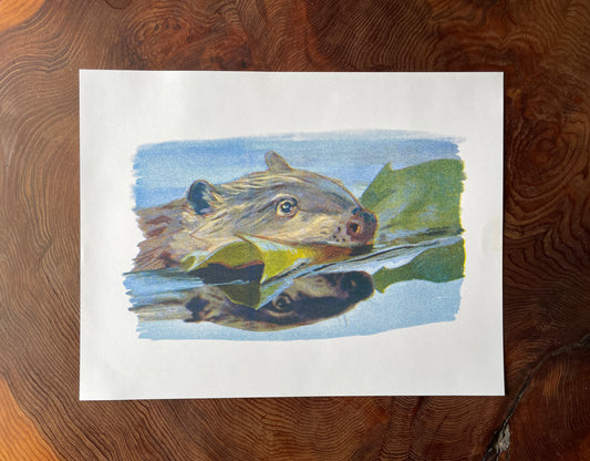 Baby Beaver Risograph Print