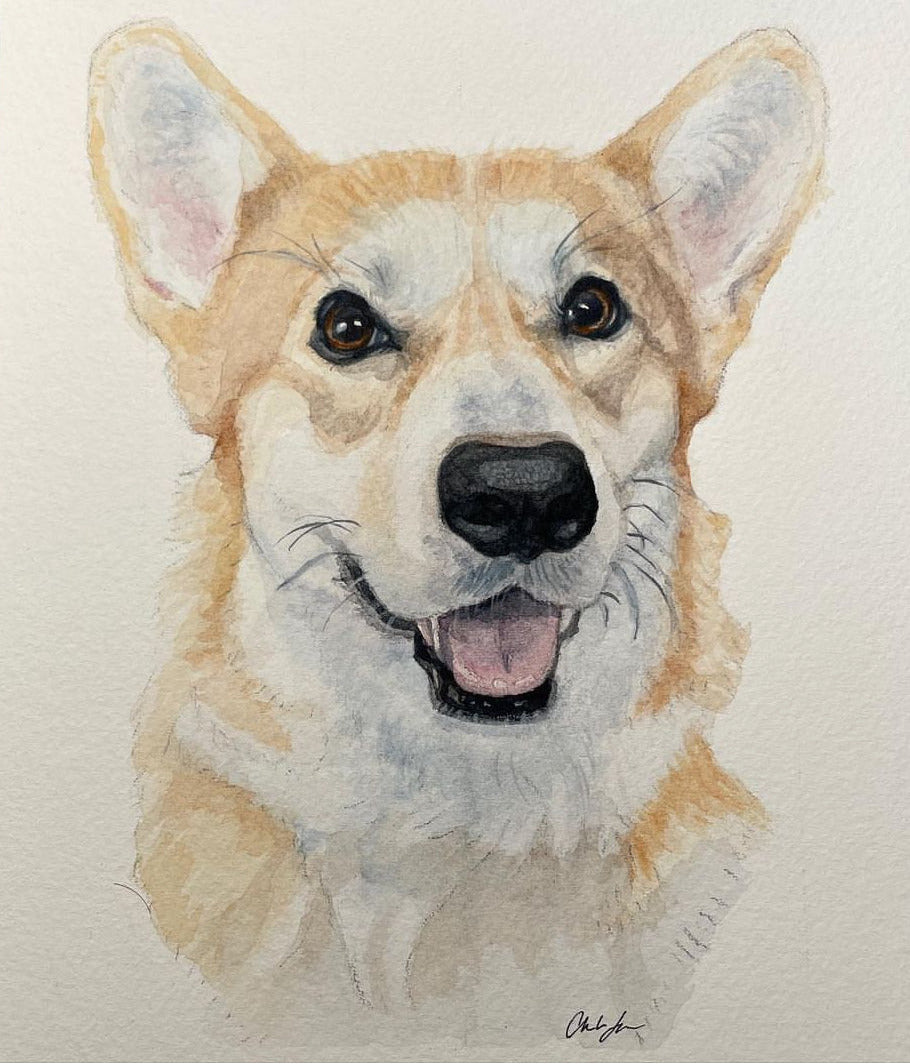 watercolor painting of a corgi