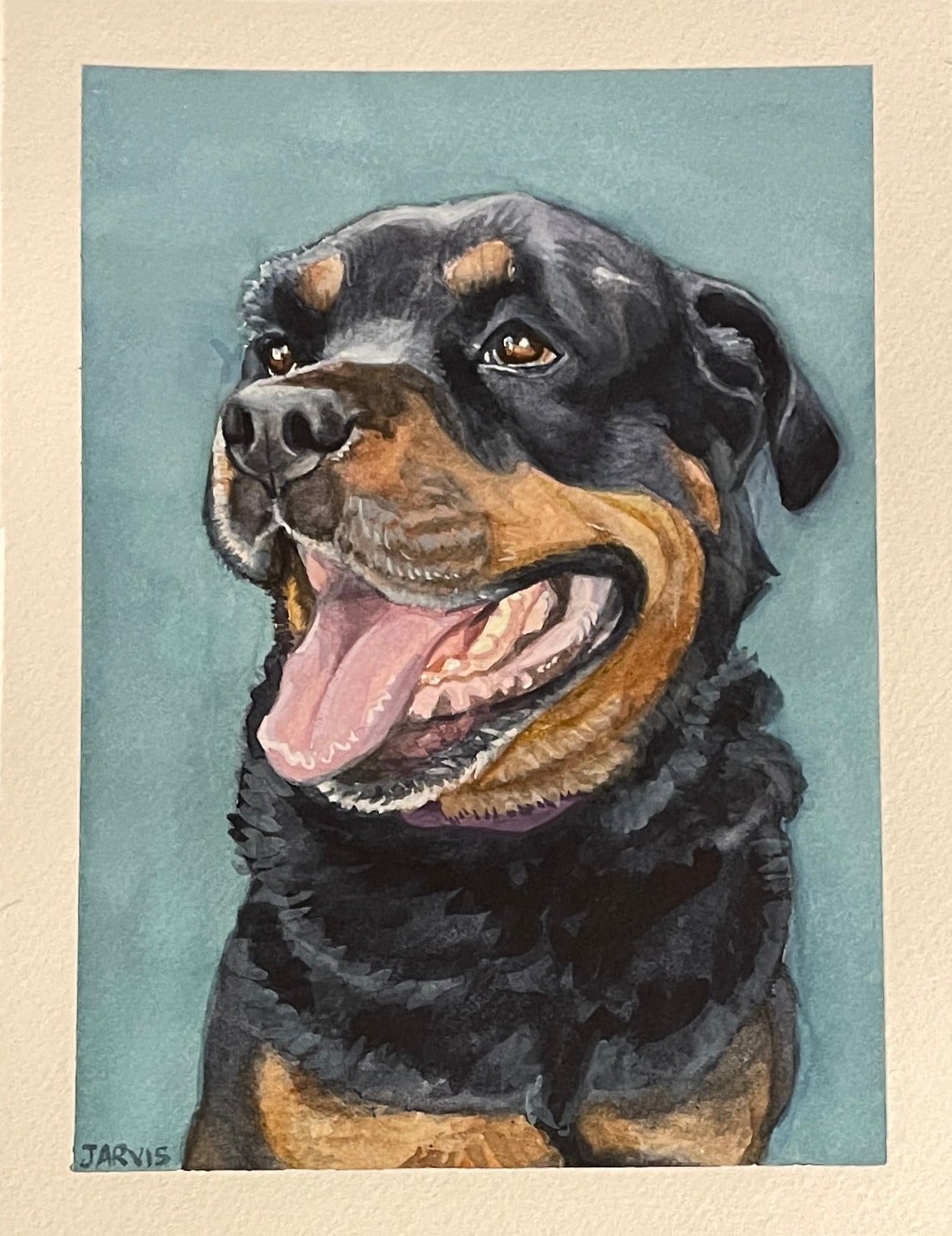 watercolor and gouache painting of a rottweiler