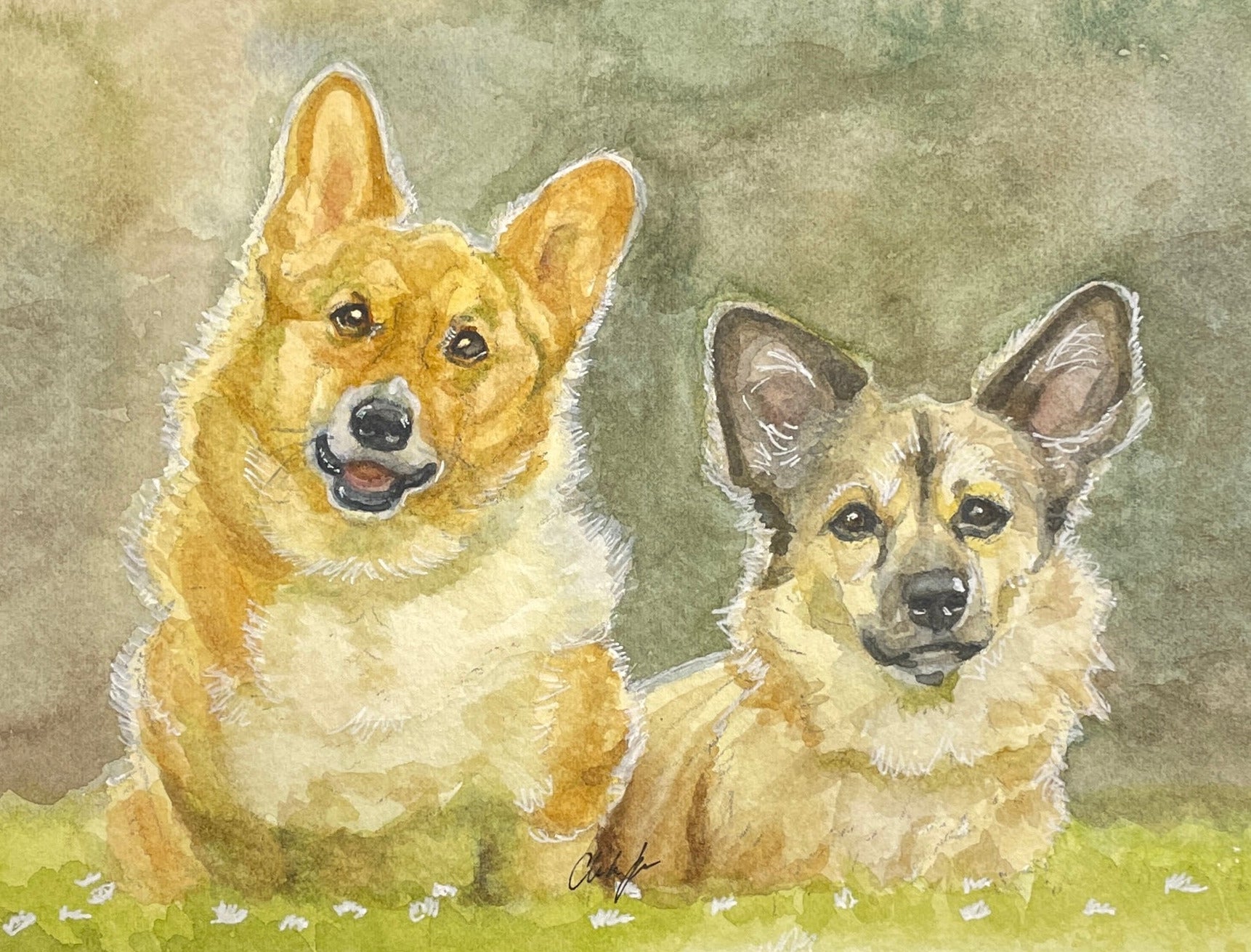 watercolor painting of two corgi mixes resting in a field of white flowers