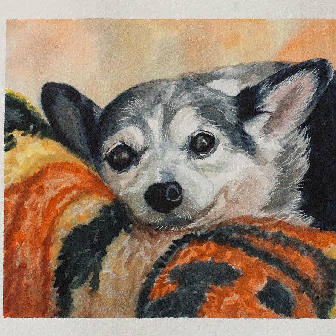 watercolor painting of a small black and white dog resting on a halloween blanket