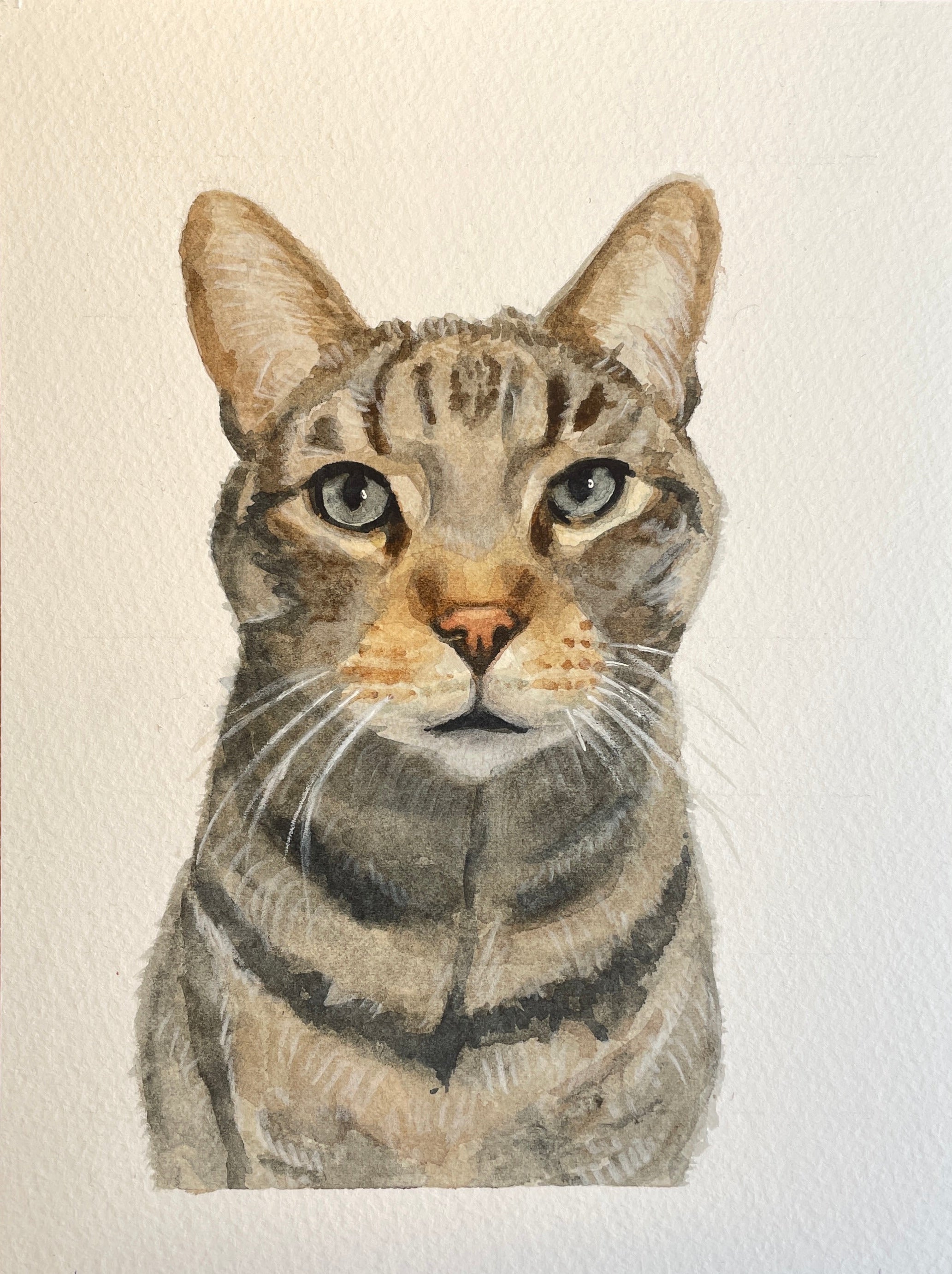 watercolor portrait of a tabby cat