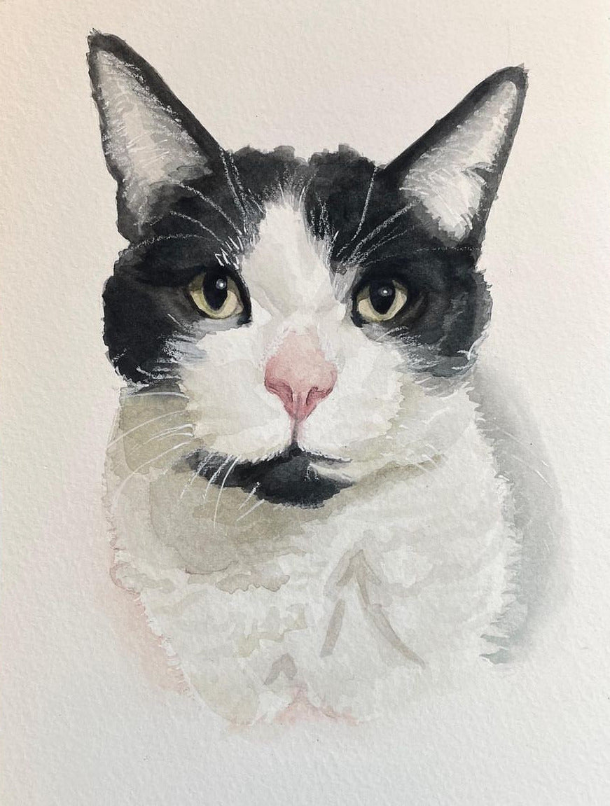 watercolor painting of a black and white cat