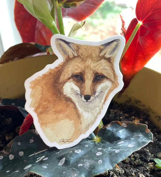 Red Fox Sticker