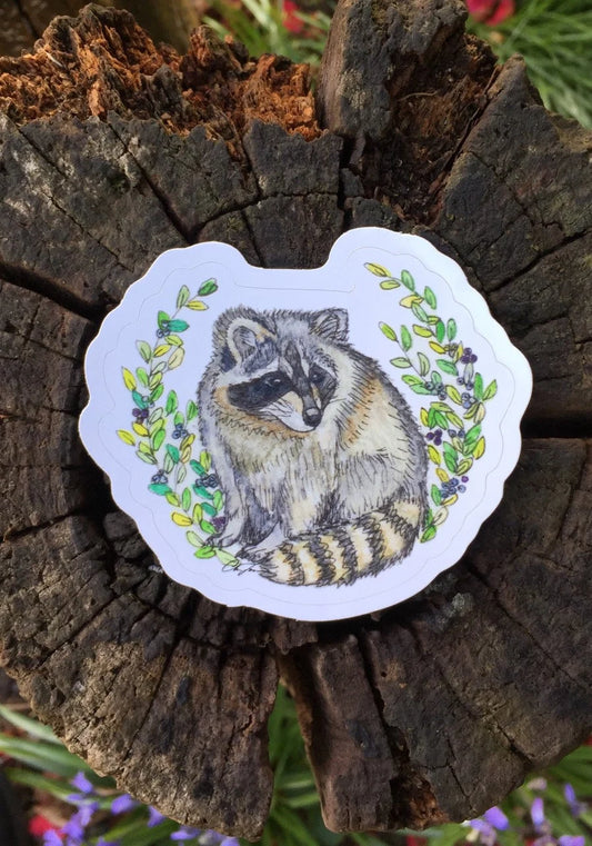 Raccoon Sticker
