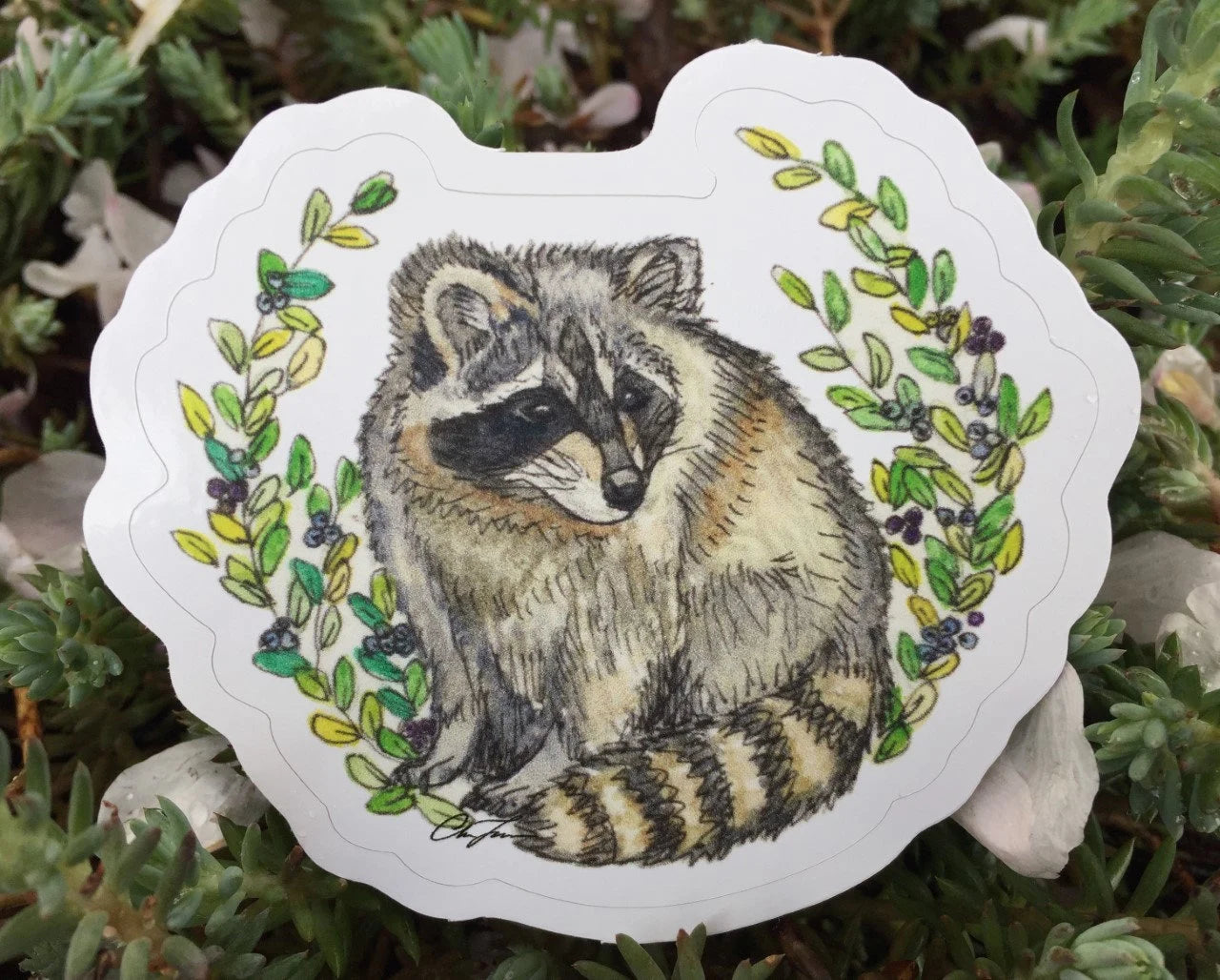 Raccoon Sticker