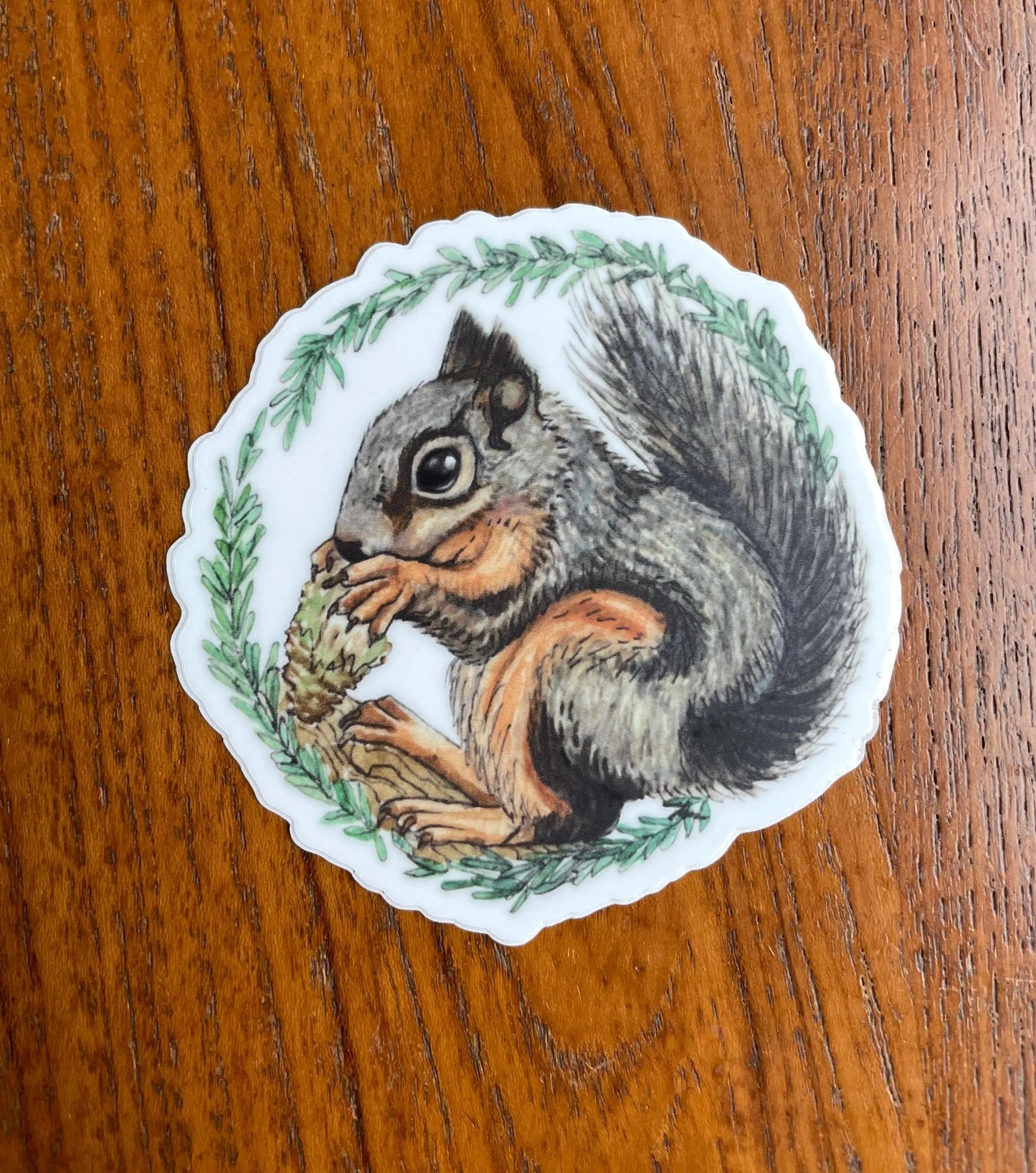 Douglas Squirrel Sticker