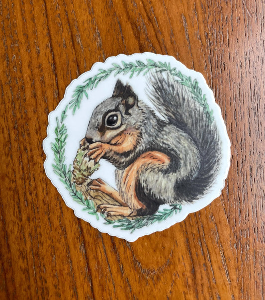 Douglas Squirrel Sticker